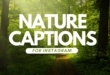 Nature captions for Instagram
